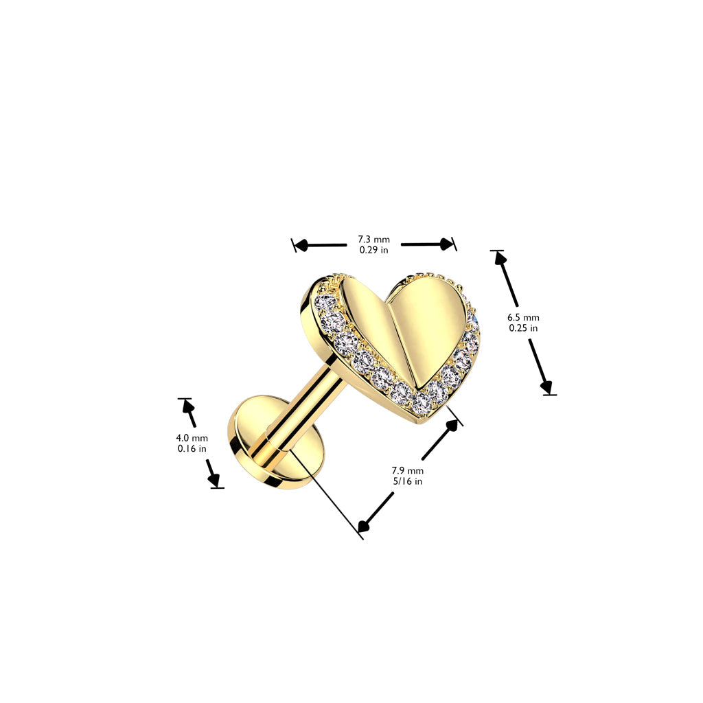 Surgical Steel Threadless Heart with CZ Edge Top Labret Combo