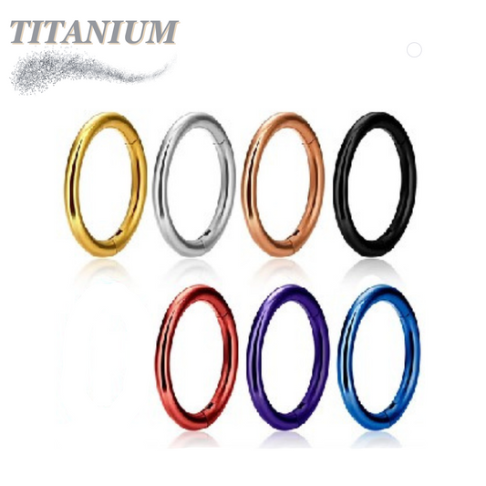 Titanium Colored Hinged Rings 20G and 18G