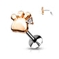 Surgical Steel Threadless CZ Set Paw Labret Combo