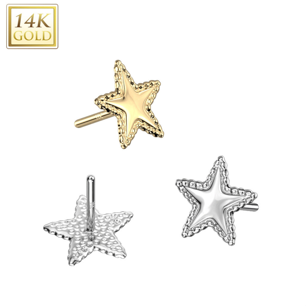 14K Gold Threadless Push In Star with Flat Beaded Edge Top Only