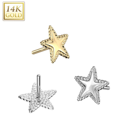 14K Gold Threadless Push In Star with Flat Beaded Edge Top Only