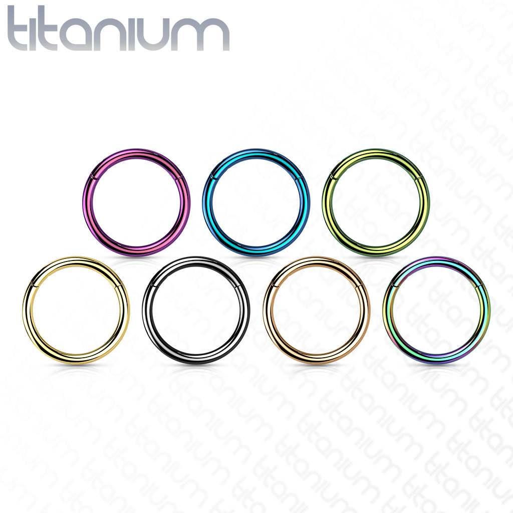 Titanium Colored Hinged Rings 20G and 18G