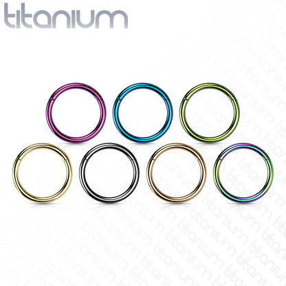Titanium Colored Hinged Rings 20G and 18G